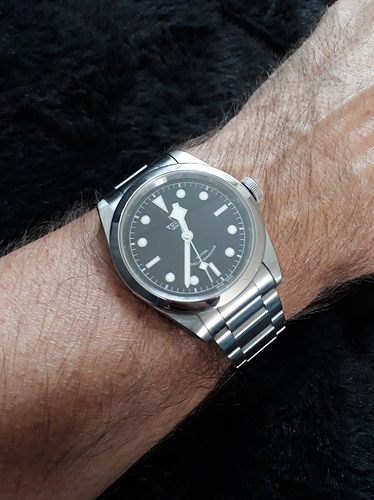 Tudor 41